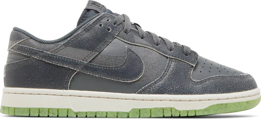 Nike Dunk Low Retro PRM