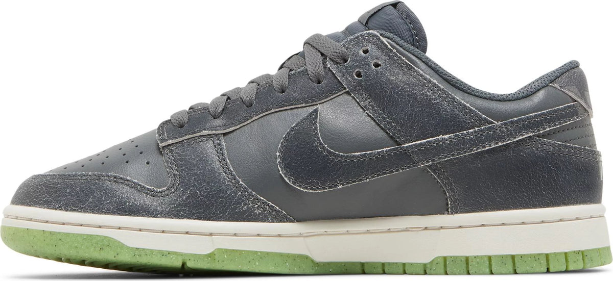 Nike Dunk Low Retro PRM
