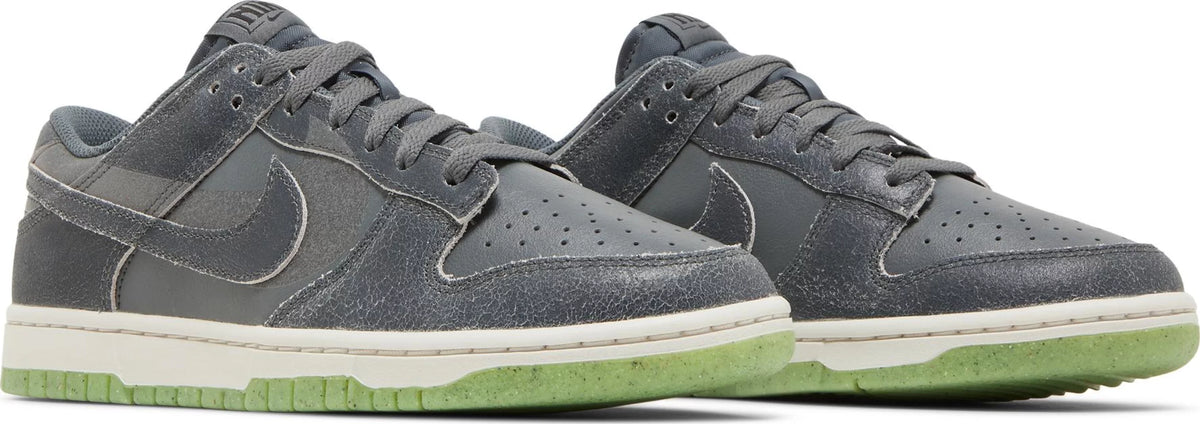Nike Dunk Low Retro PRM
